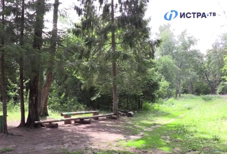 В первые две недели августа в истринском лесу заблудились 11 человек 